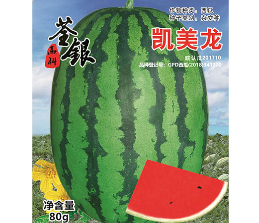產(chǎn)品名稱(chēng)