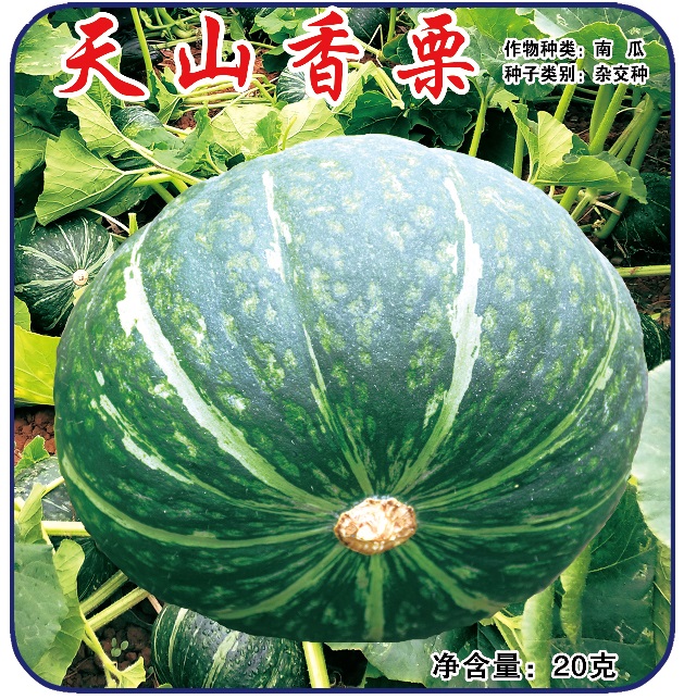 產(chǎn)品名稱