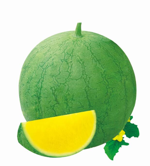 產(chǎn)品名稱