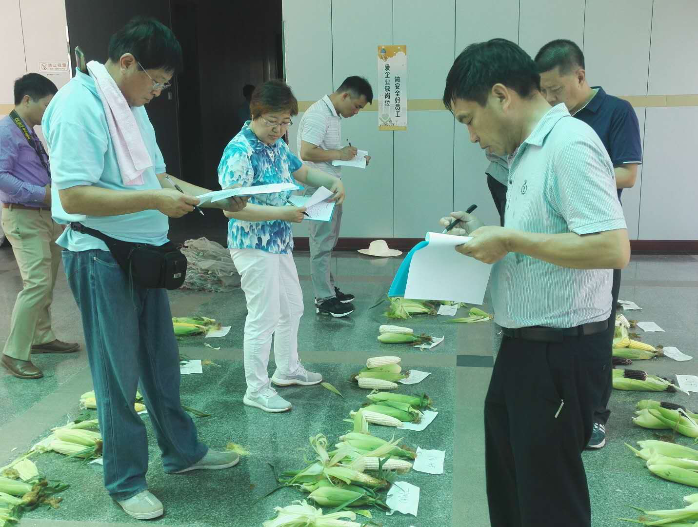 荃銀瓜菜強(qiáng)勢(shì)進(jìn)軍鮮食玉米產(chǎn)業(yè)