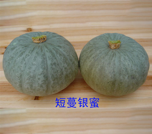 產(chǎn)品名稱