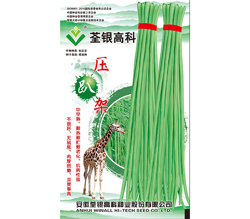 產(chǎn)品名稱
